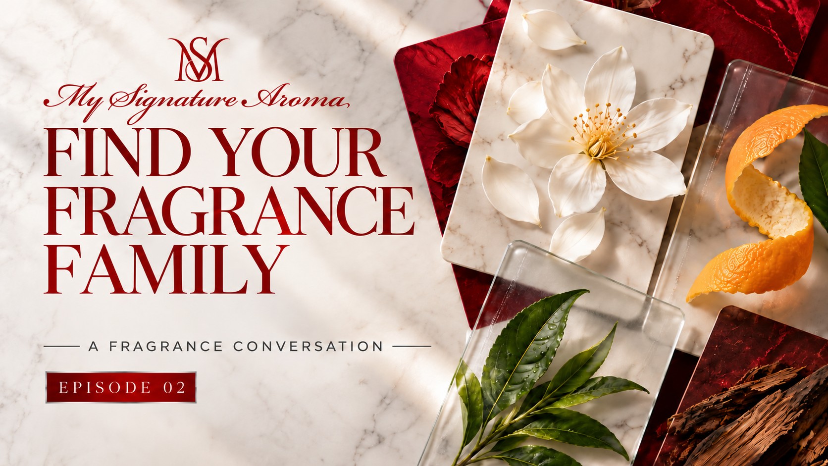 MY SIGNATURE AROMA Episode 02: Find Your Fragrance Family — A guide, not a label; layered floral, citrus, green and woody imagery